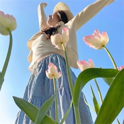 芭比之圣诞欢歌